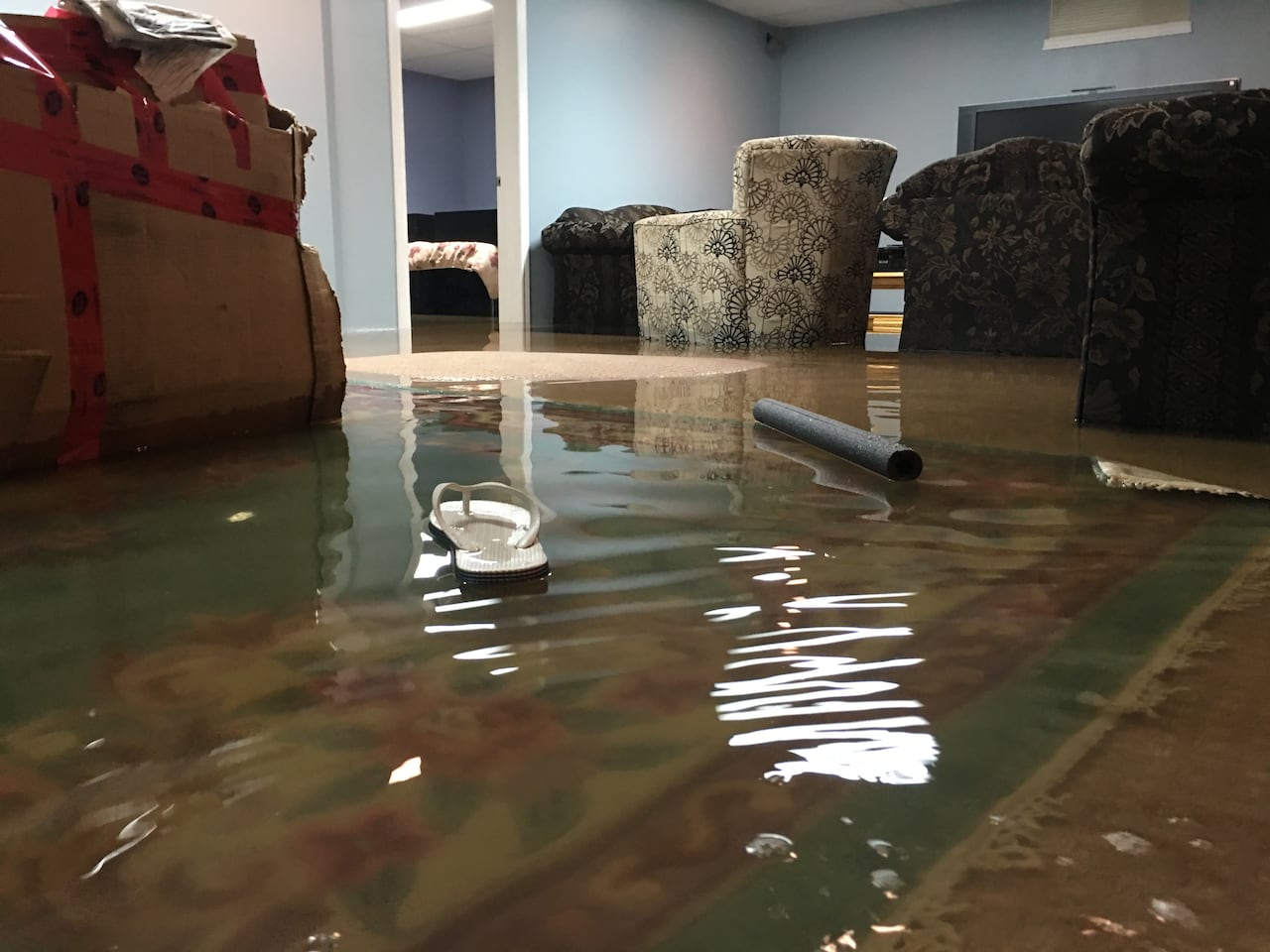 Dealing with a Flooded Basement: How Emergency Restoration Companies Can Help